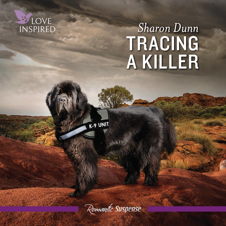 Cover image for Tracing A Killer, isbn: 9781038938459