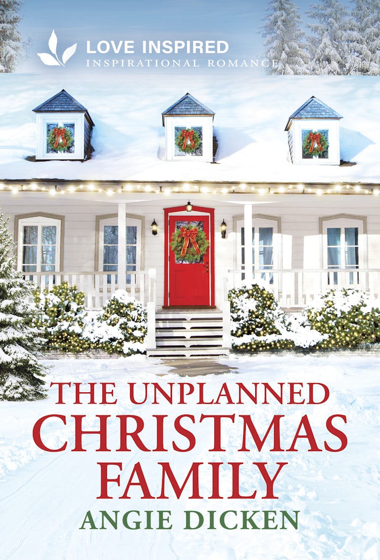 Cover image for The Unplanned Christmas Family, isbn: 9781038938756