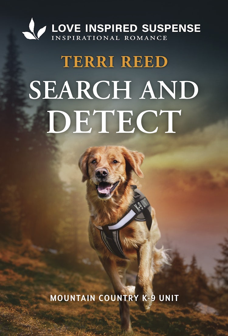 Cover image for Search And Detect, isbn: 9781038938787