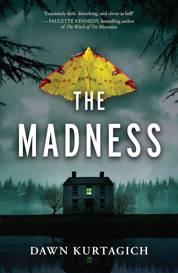 Cover image for The Madness, isbn: 9781038939128
