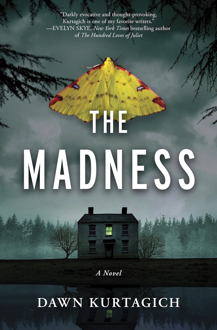 Cover image for The Madness, isbn: 9781038939135