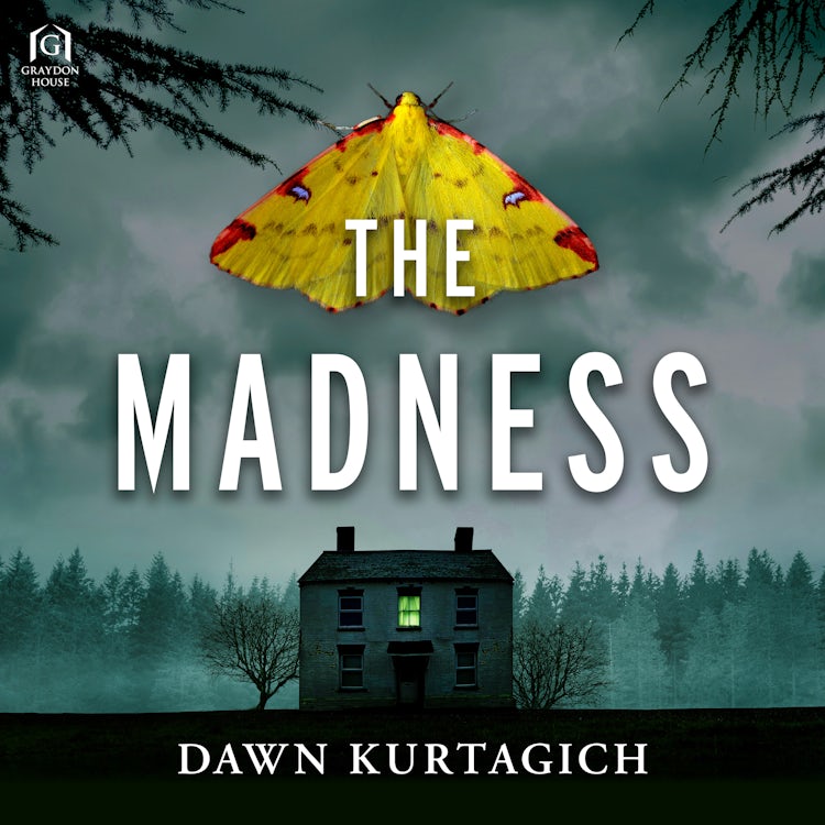 Cover image for The Madness, isbn: 9781038939142