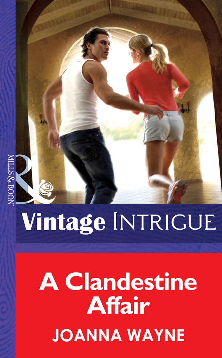 Cover image for A Clandestine Affair, isbn: 9781038939883