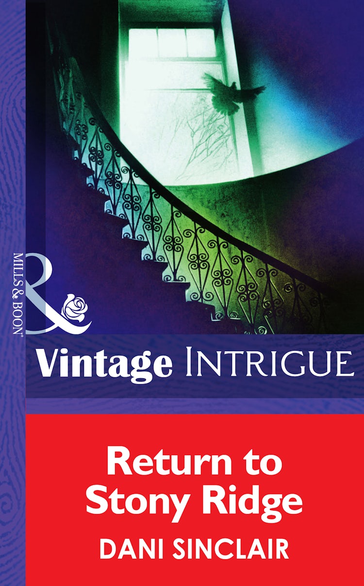 Cover image for Return To Stony Ridge, isbn: 9781038940155