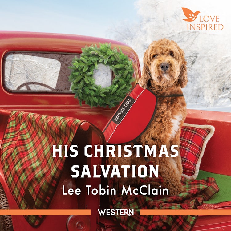 Cover image for His Christmas Salvation, isbn: 9781038940827