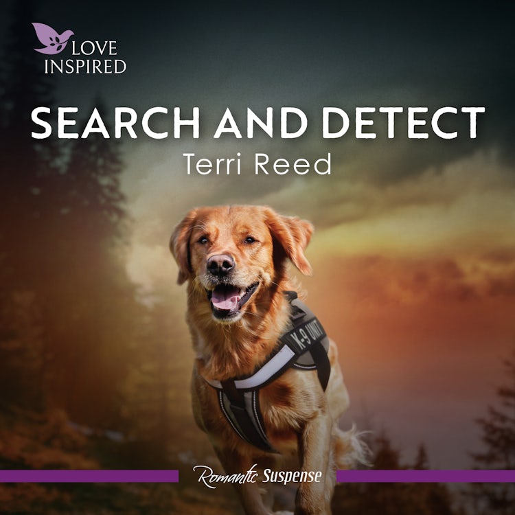 Cover image for Search And Detect, isbn: 9781038940933