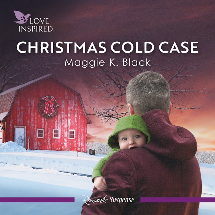 Cover image for Christmas Cold Case, isbn: 9781038940971