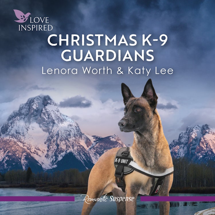 Cover image for Christmas K-9 Guardians, isbn: 9781038941015