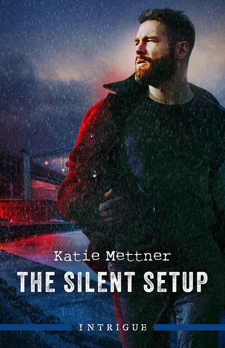 Cover image for The Silent Setup, isbn: 9781038941510