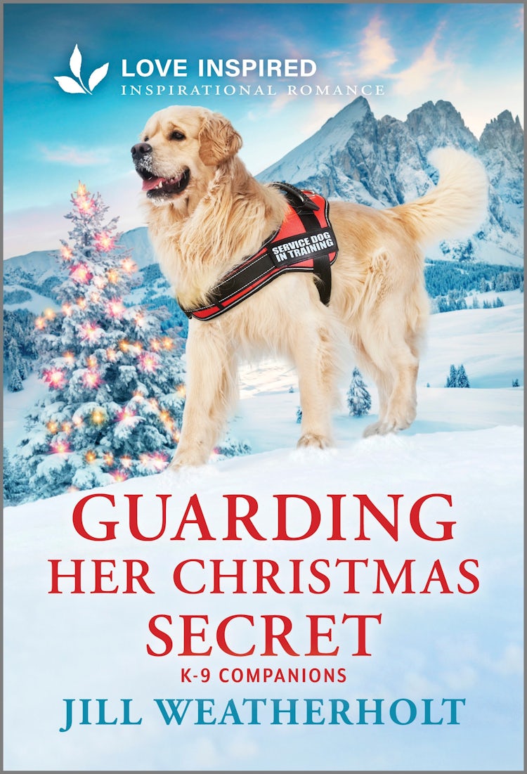 Cover image for Guarding Her Christmas Secret, isbn: 9781038942074