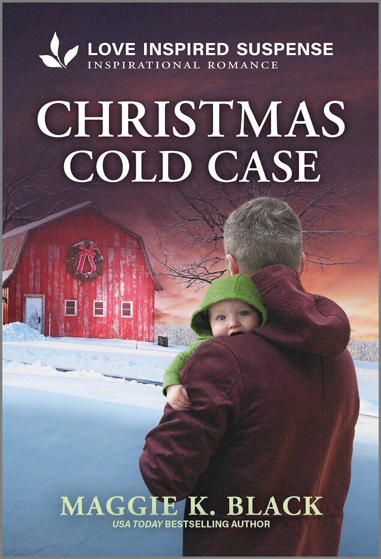 Cover image for Christmas Cold Case, isbn: 9781038942142