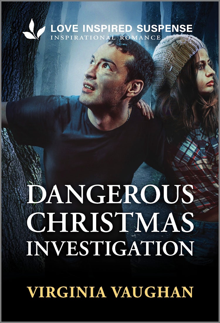 Cover image for Dangerous Christmas Investigation, isbn: 9781038942166