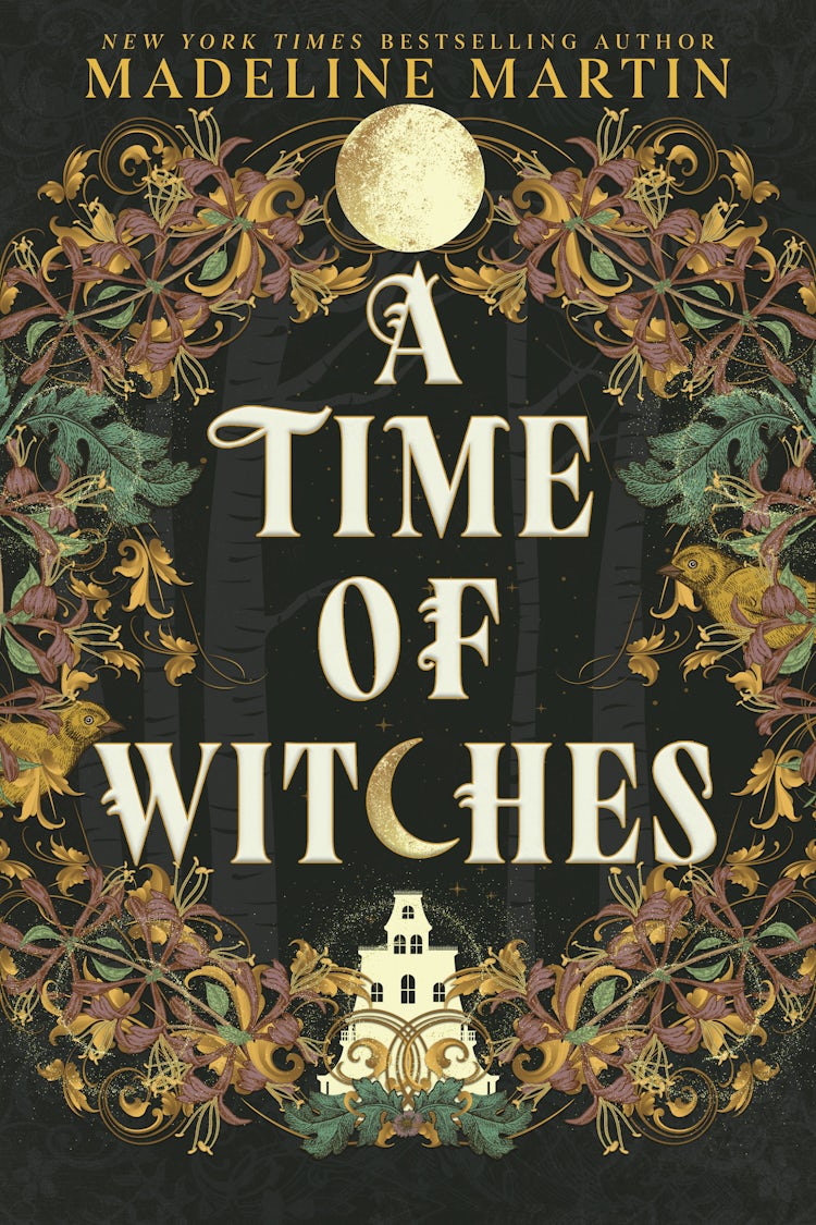 Cover image for A Time of Witches, isbn: 9781038942234