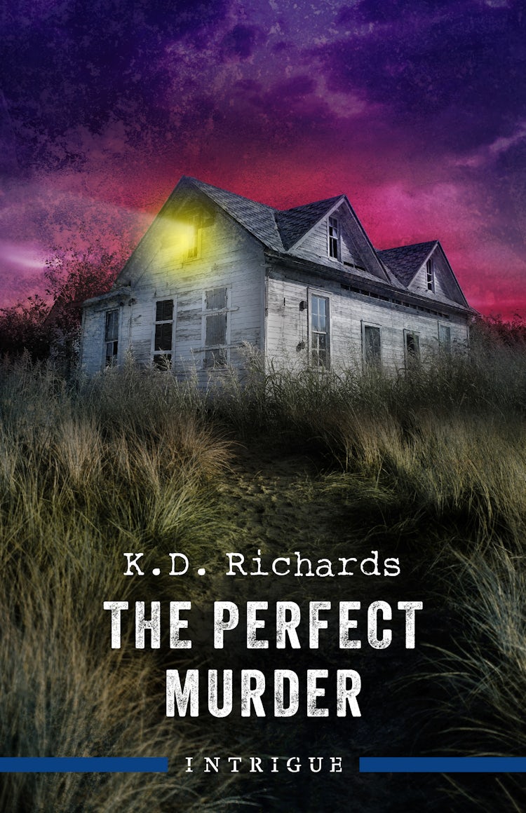 Cover image for The Perfect Murder, isbn: 9781038943200