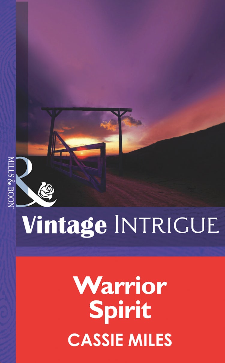 Cover image for Warrior Spirit, isbn: 9781038944306