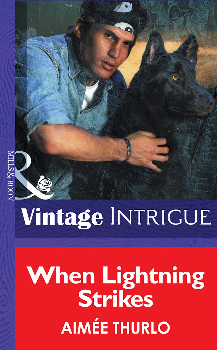 Cover image for When Lightning Strikes, isbn: 9781038944313