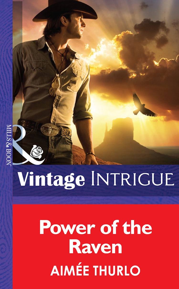 Cover image for Power Of The Raven, isbn: 9781038944368