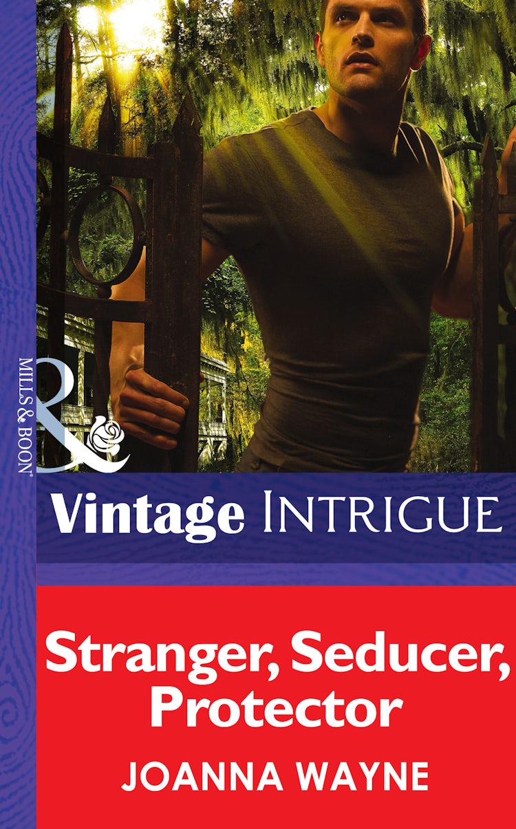 Cover image for Stranger, Seducer, Protector, isbn: 9781038944399
