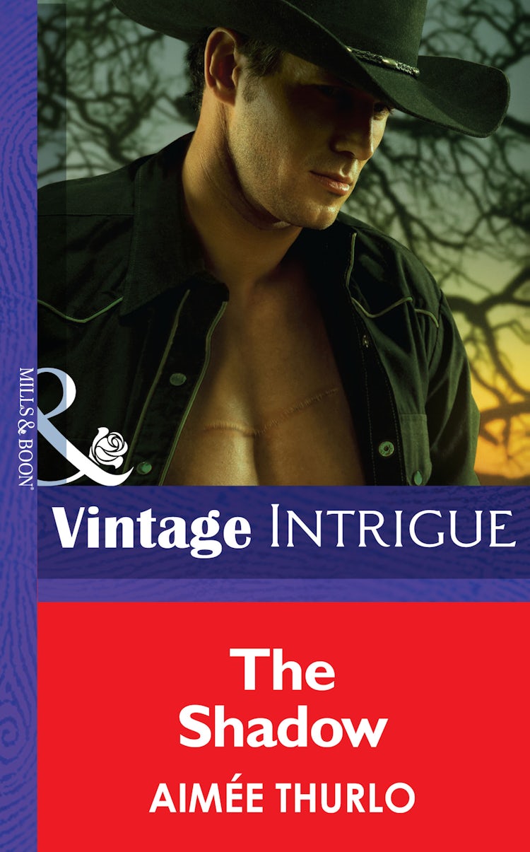 Cover image for The Shadow, isbn: 9781038944405