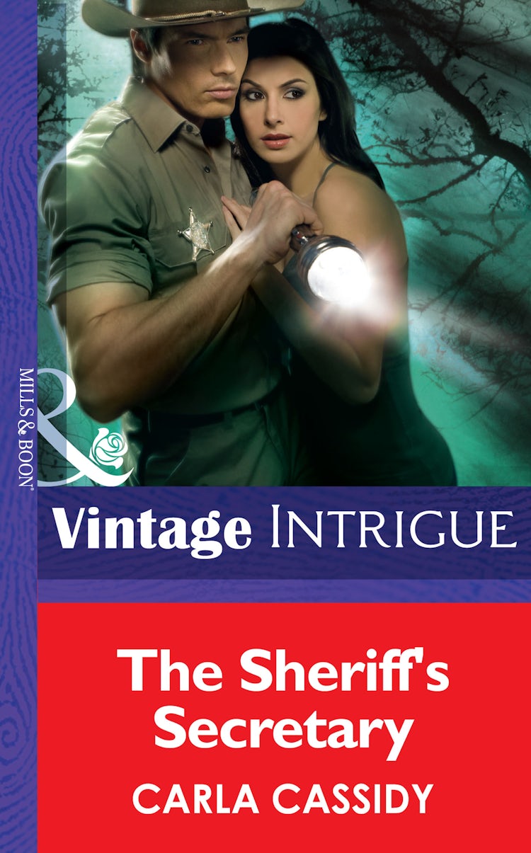 Cover image for The Sheriff's Secretary, isbn: 9781038944412