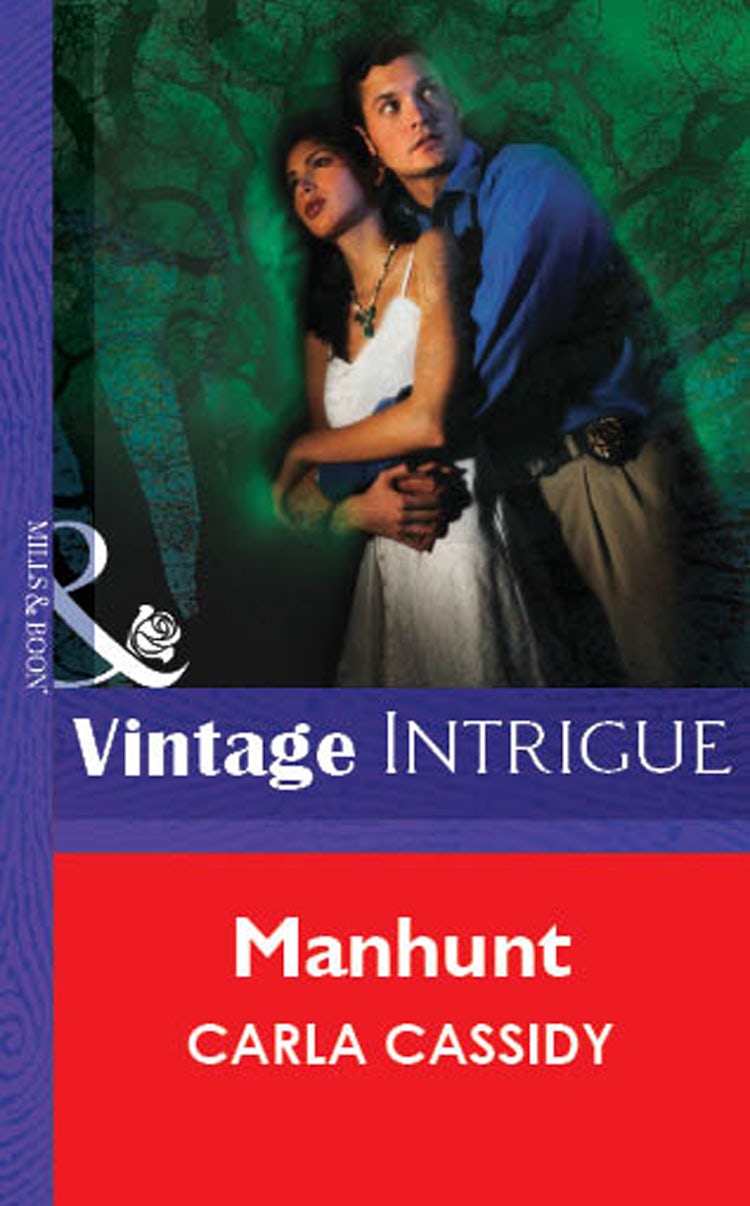 Cover image for Manhunt, isbn: 9781038944443