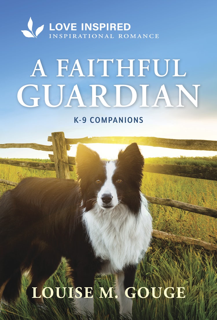 Cover image for A Faithful Guardian, isbn: 9781038944818