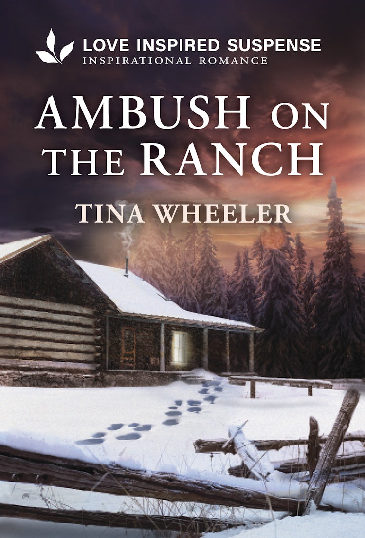 Cover image for Ambush On The Ranch, isbn: 9781038944900