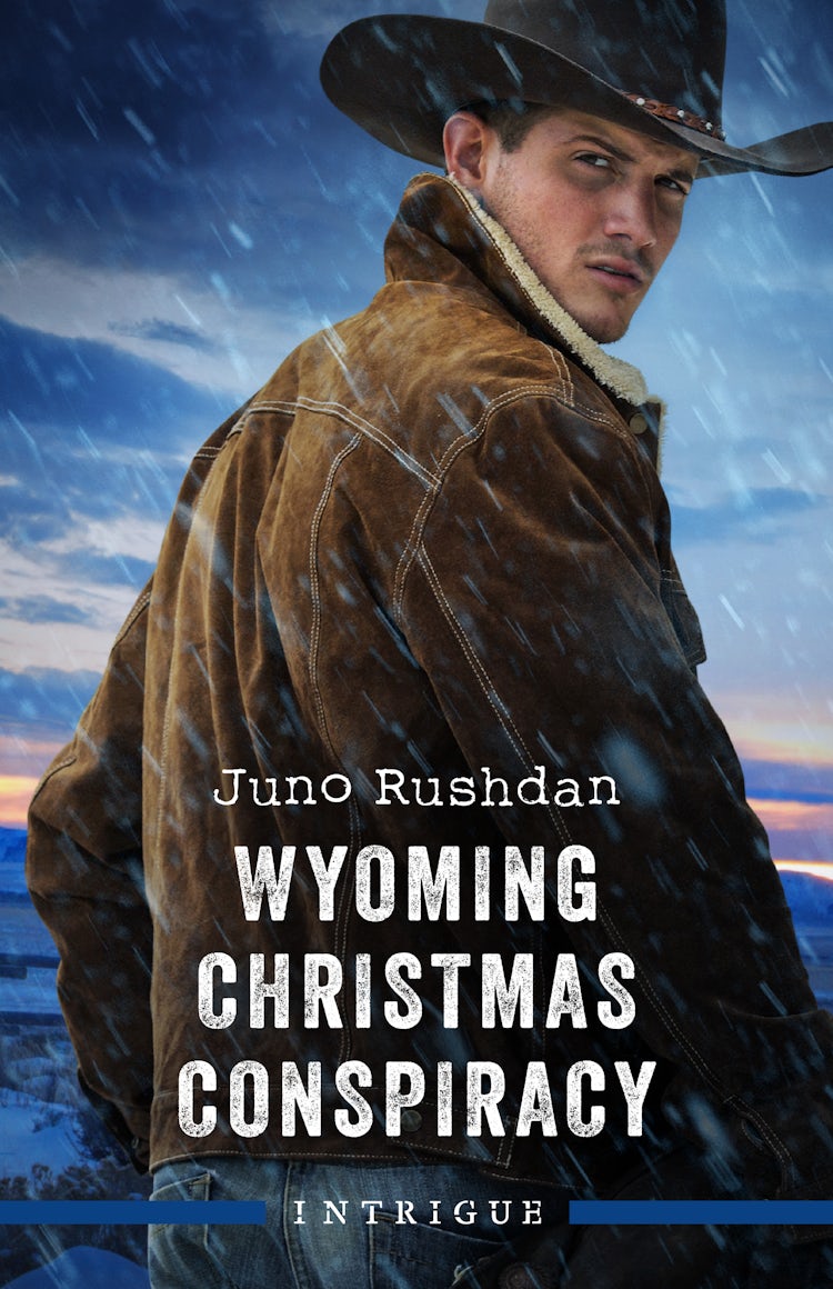 Cover image for Wyoming Christmas Conspiracy, isbn: 9781038945891