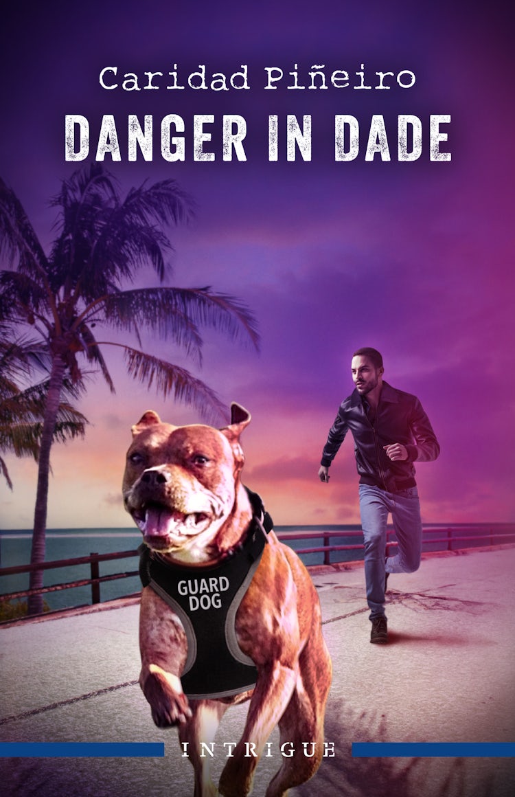 Cover image for Danger In Dade, isbn: 9781038945907