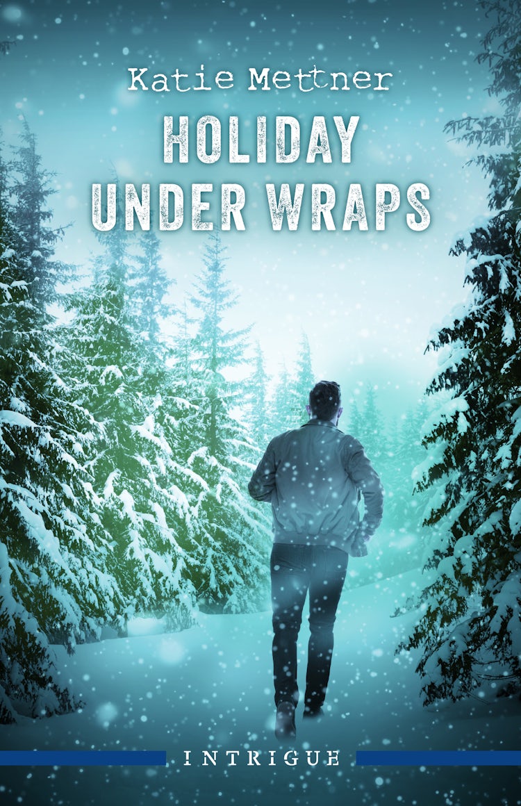 Cover image for Holiday Under Wraps, isbn: 9781038945914