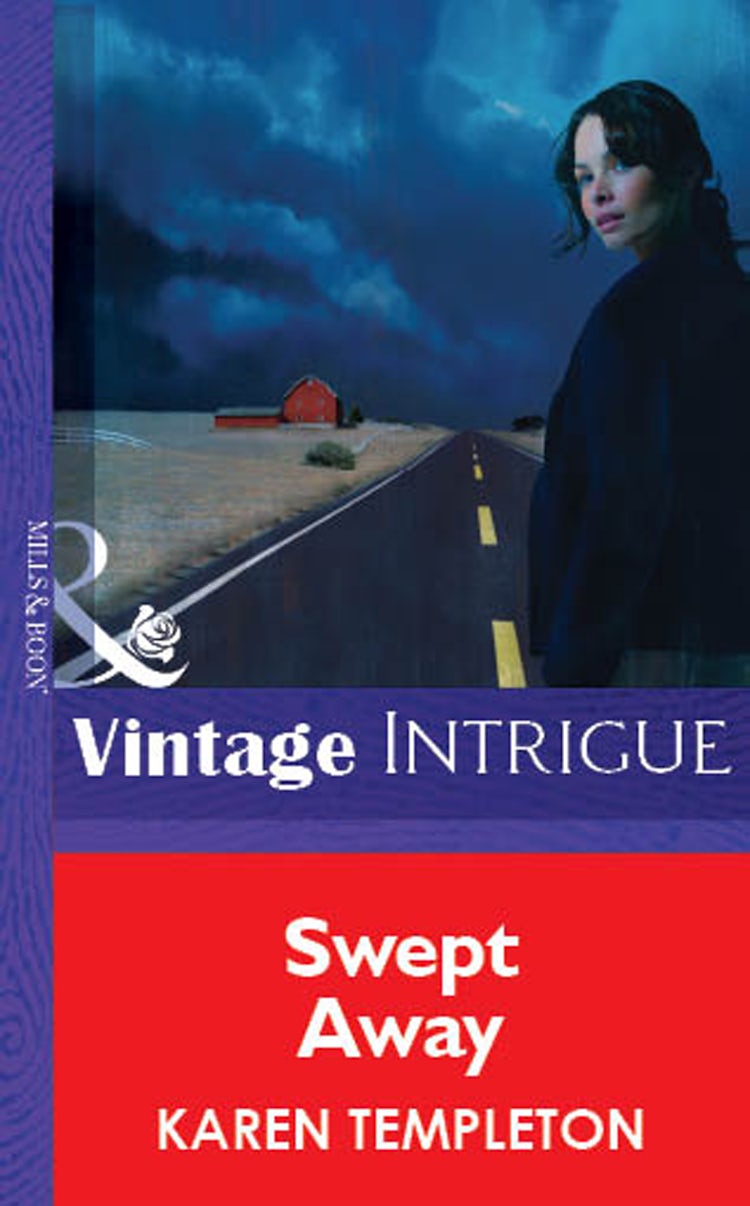 Cover image for Swept Away, isbn: 9781038946317