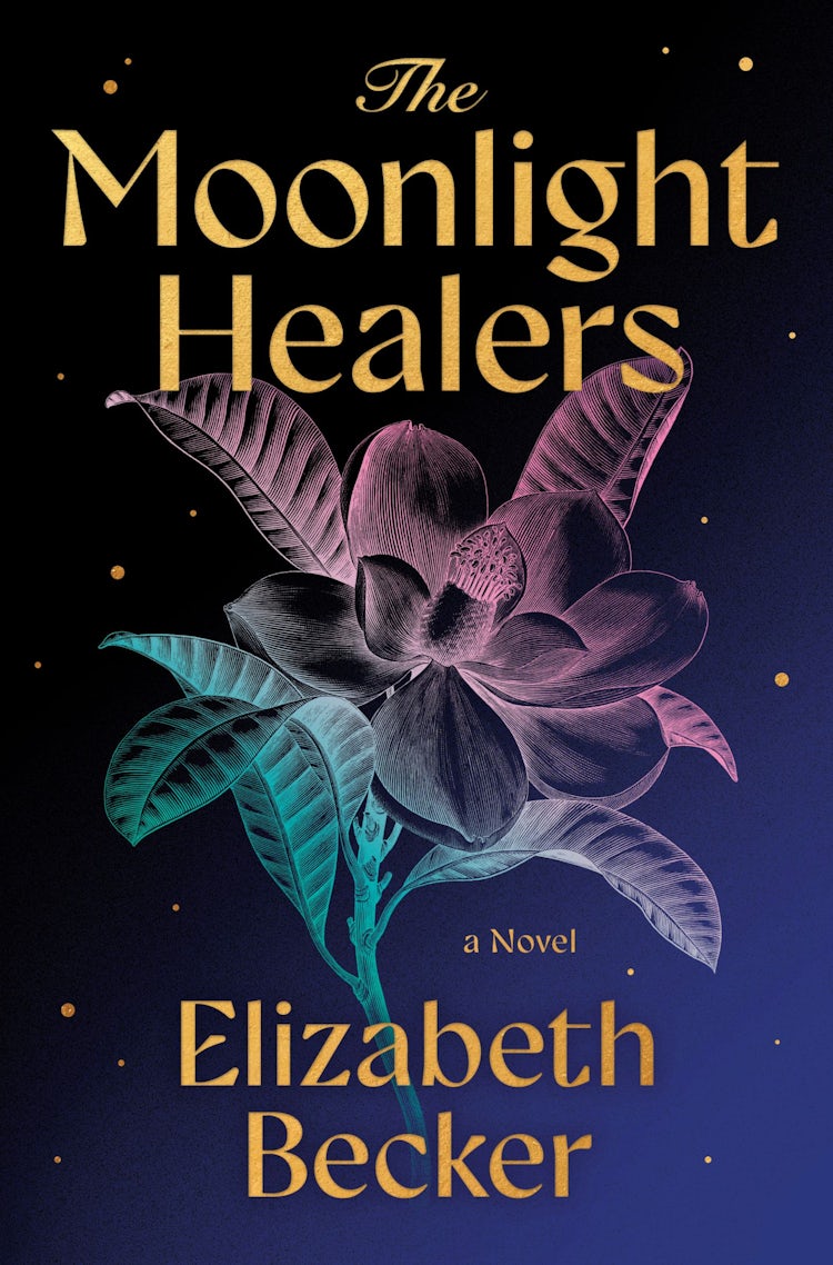 Cover image for The Moonlight Healers, isbn: 9781038947017