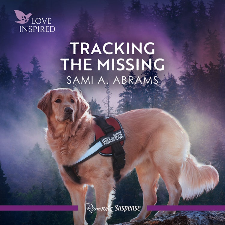 Cover image for Tracking The Missing, isbn: 9781038947086