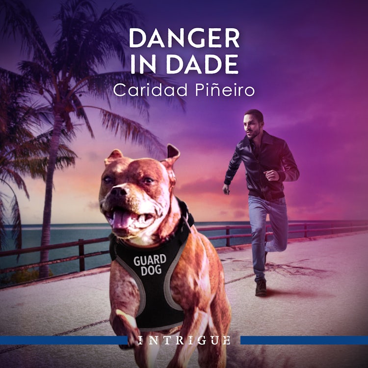 Cover image for Danger In Dade, isbn: 9781038947093