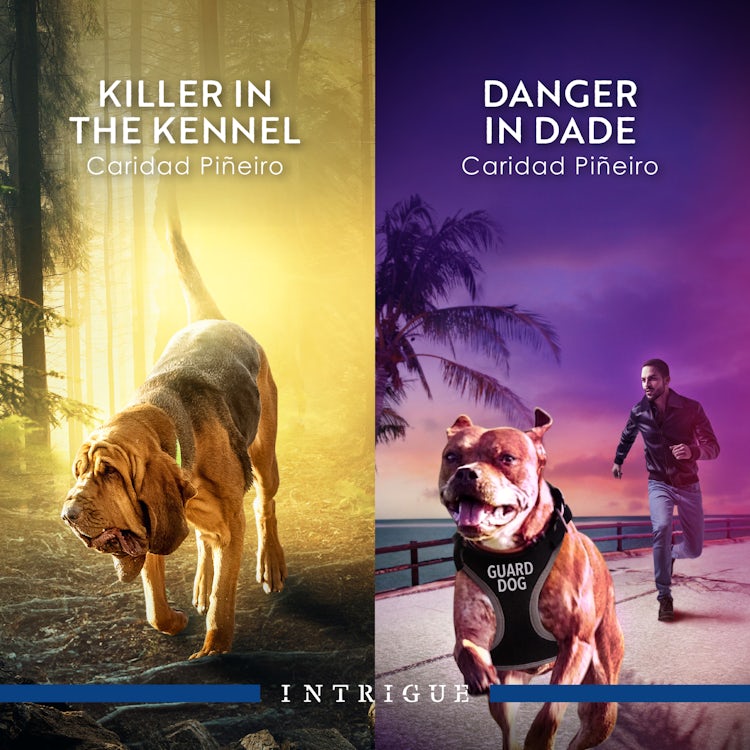 Cover image for Killer In The Kennel/Danger In Dade, isbn: 9781038947109