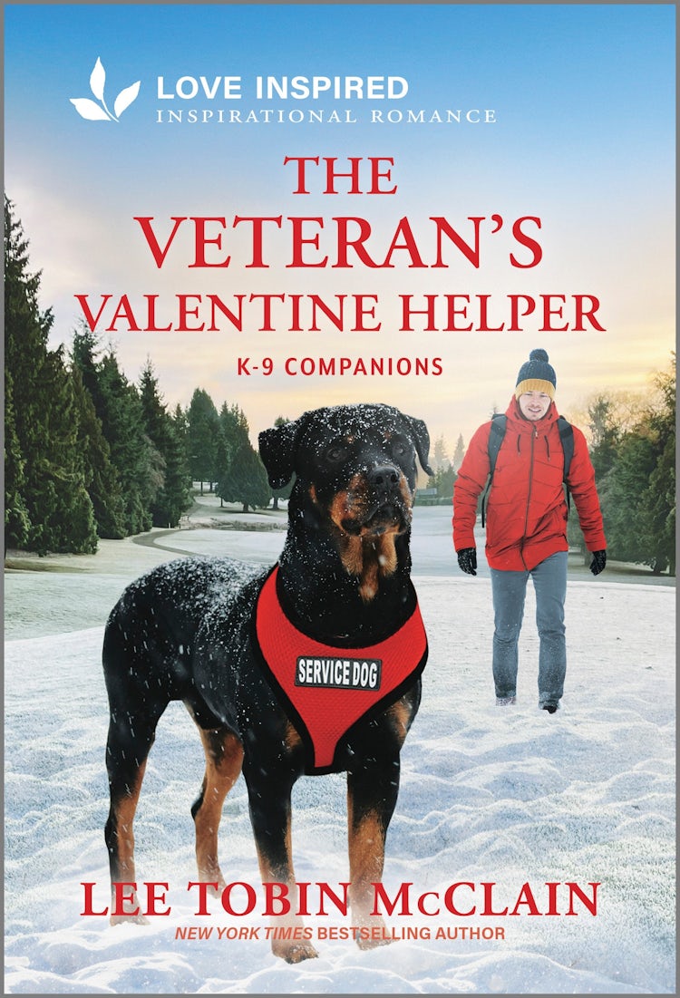 Cover image for The Veteran's Valentine Helper, isbn: 9781038947154