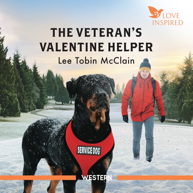 Cover image for The Veteran's Valentine Helper, isbn: 9781038948144