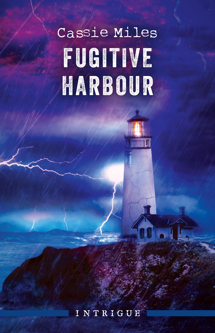 Cover image for Fugitive Harbour, isbn: 9781038949318