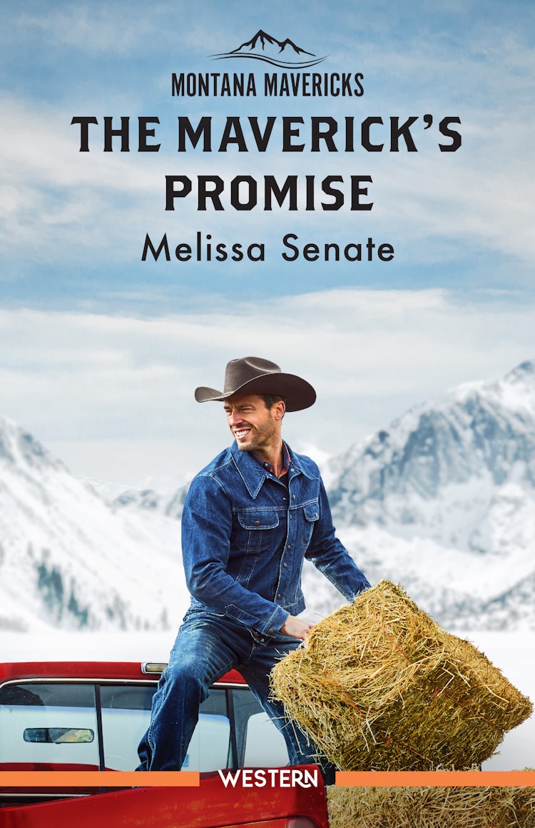 Cover image for The Maverick's Promise, isbn: 9781038949462