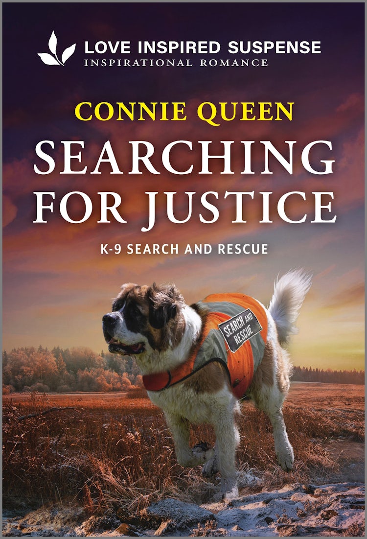 Cover image for Searching For Justice, isbn: 9781038949745