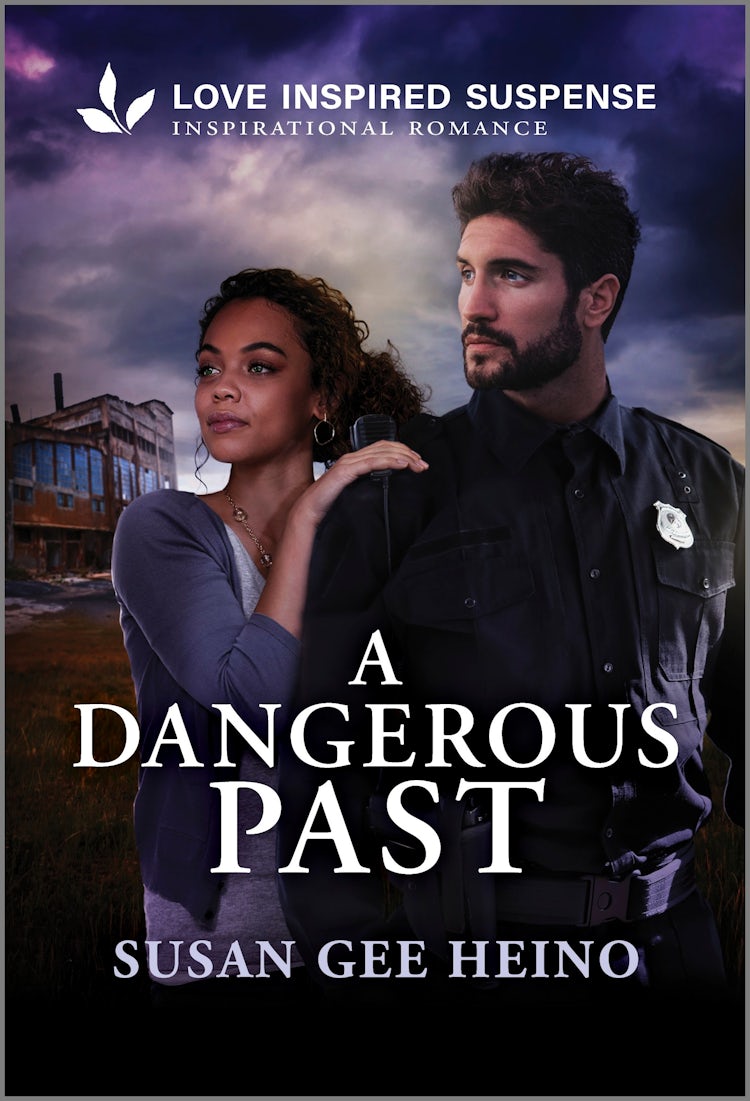 Cover image for A Dangerous Past, isbn: 9781038949790