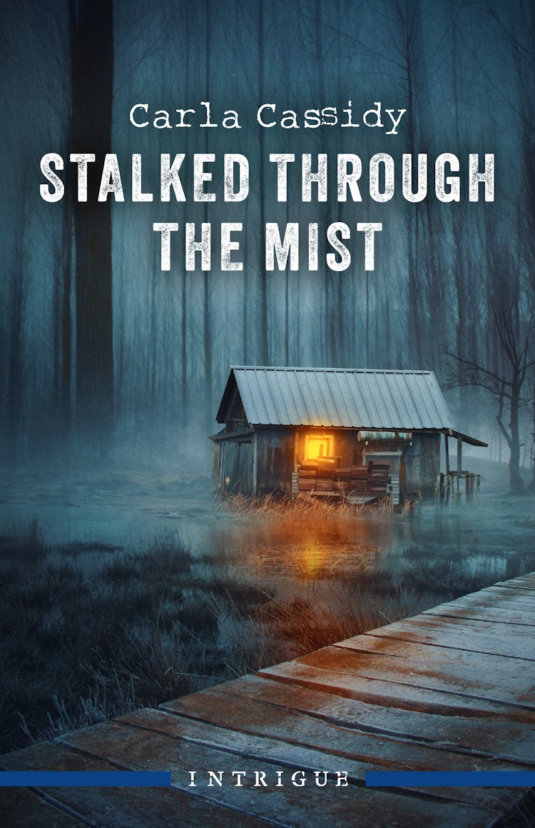 Cover image for Stalked Through The Mist, isbn: 9781038950352