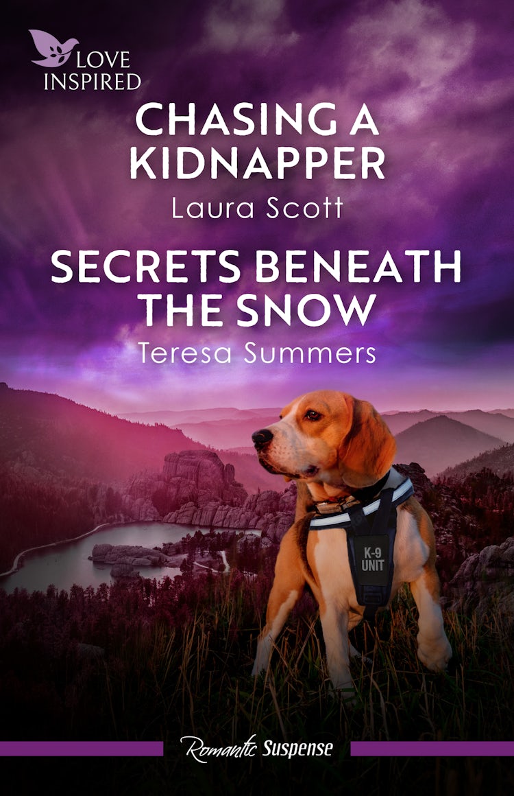 Cover image for Chasing A Kidnapper/Secrets Beneath The Snow, isbn: 9781038950710
