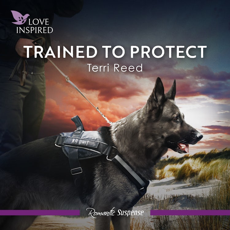 Cover image for Trained To Protect, isbn: 9781038951366
