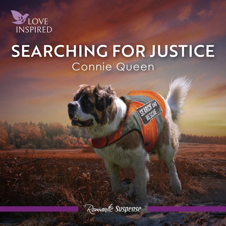 Cover image for Searching For Justice, isbn: 9781038951373