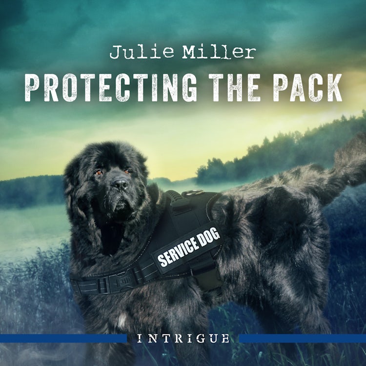 Cover image for Protecting The Pack, isbn: 9781038951441