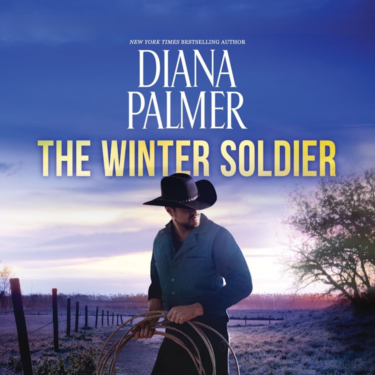 Cover image for The Winter Soldier, isbn: 9781038951526