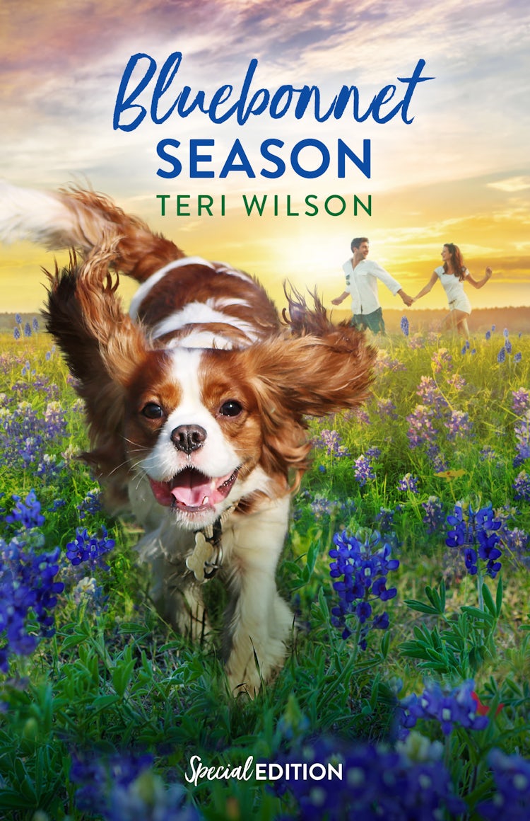 Cover image for Bluebonnet Season, isbn: 9781038952394