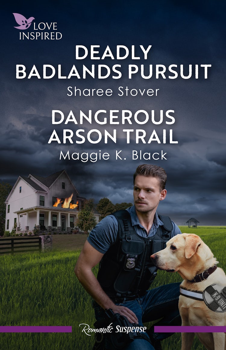 Cover image for Deadly Badlands Pursuit/Dangerous Arson Trail, isbn: 9781038952585