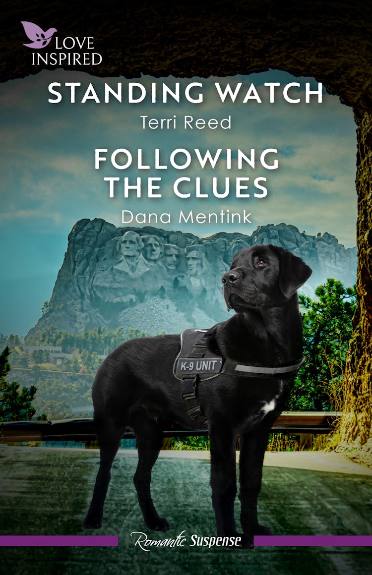 Cover image for Standing Watch/Following The Clues, isbn: 9781038952677